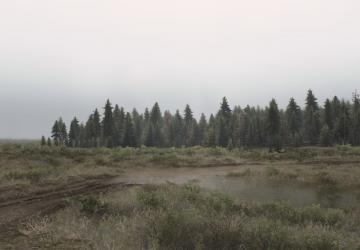 Bog Map version 1.0 for SpinTires (v03.03.16)