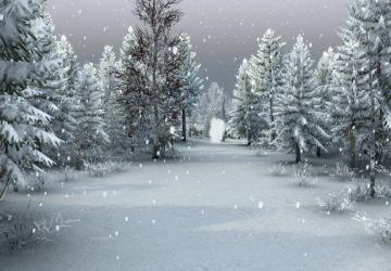 Winter Map version 1.0 for SpinTires (v03.03.16)