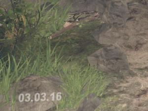 SpinTires Updated to 03.03.16