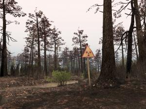Spintires - Chernobyl DLC Release and Patch 1.4.0 (full)